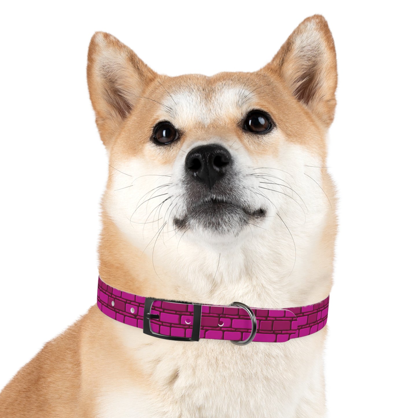 Cyber Chic Dog Collar