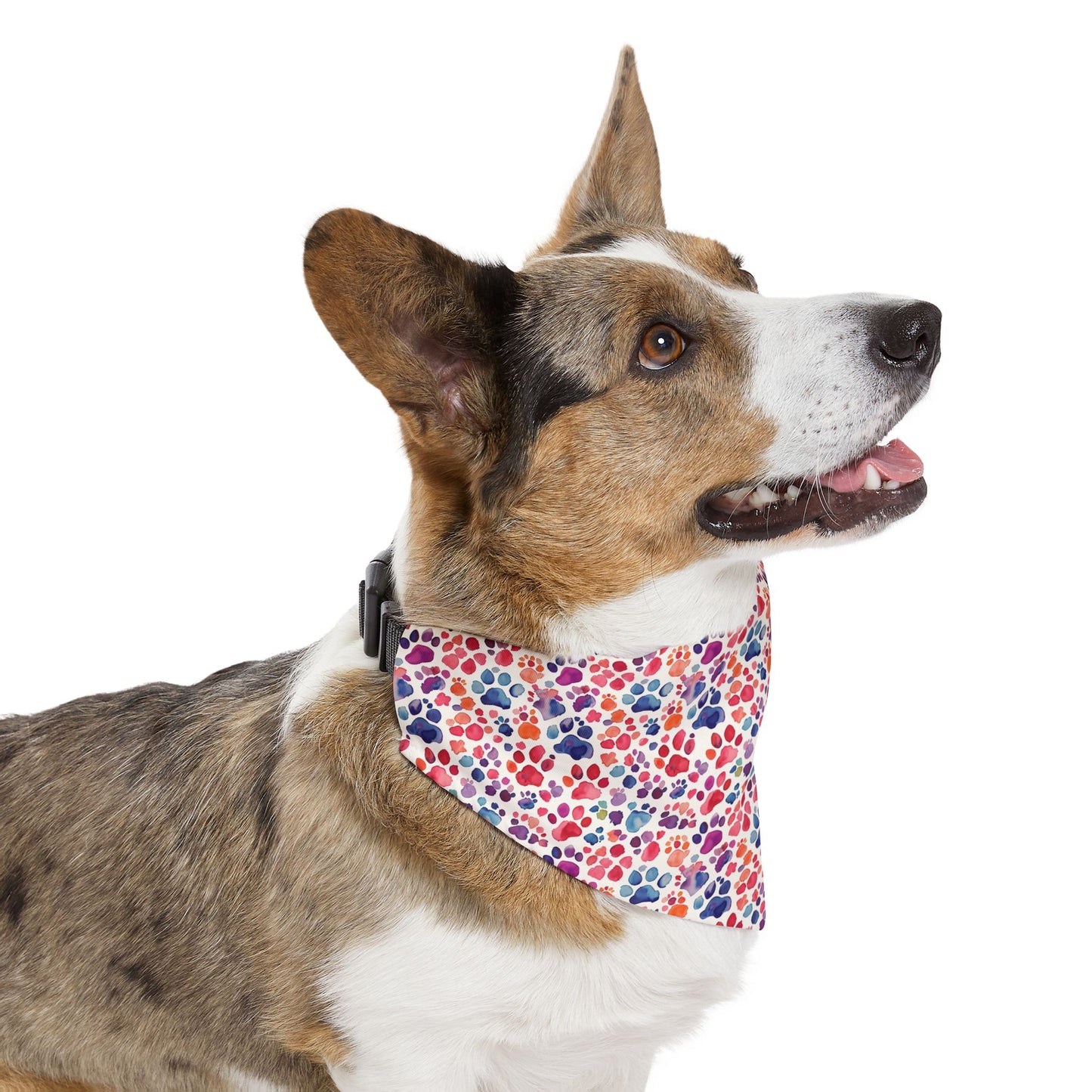 Paw Parade Pet Bandana Collar