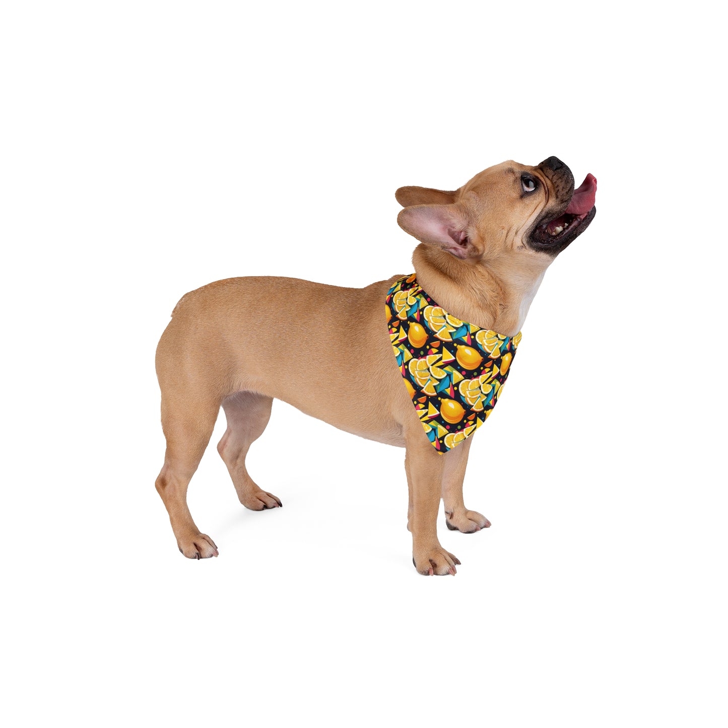 Lemon Zest Pet Bandana