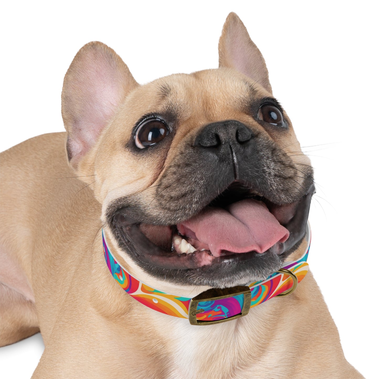 Rainbow Ripple Dog Collar