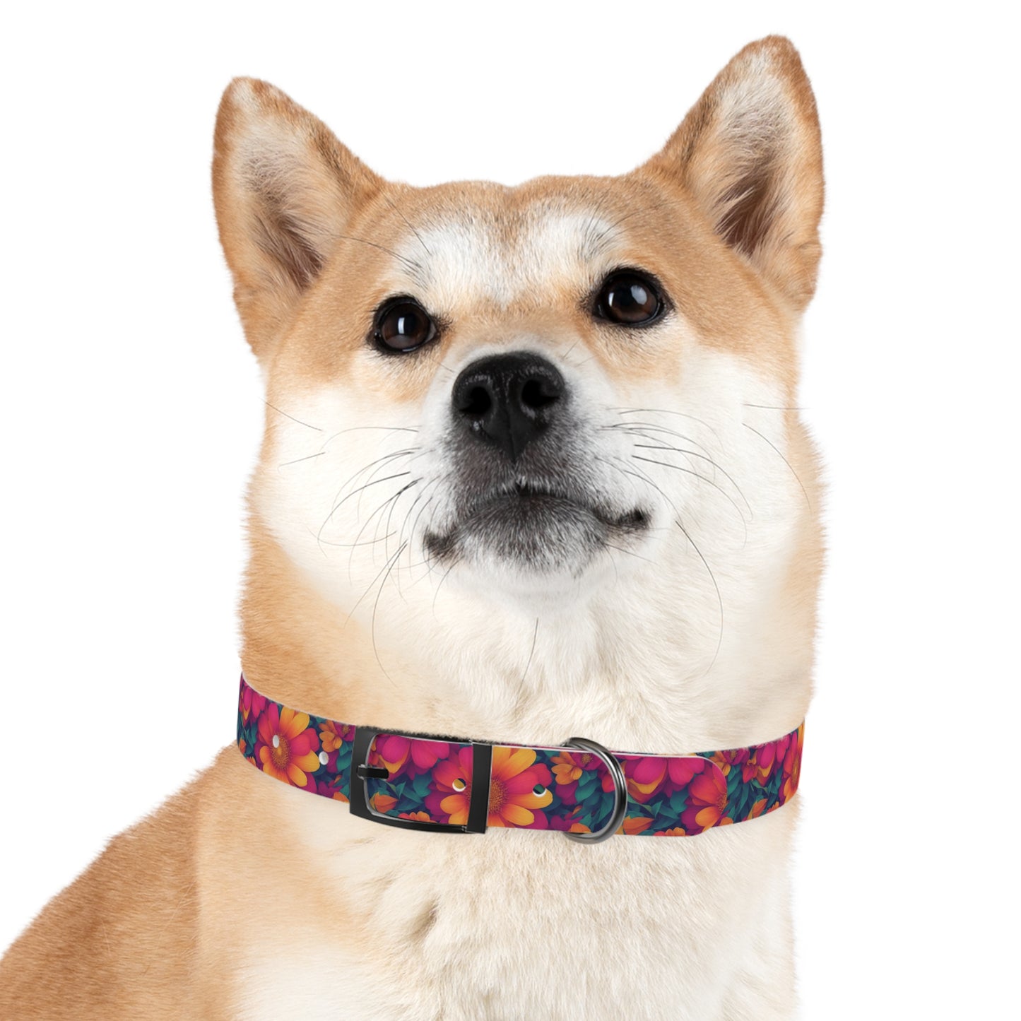 Daisy Delight Dog Collar