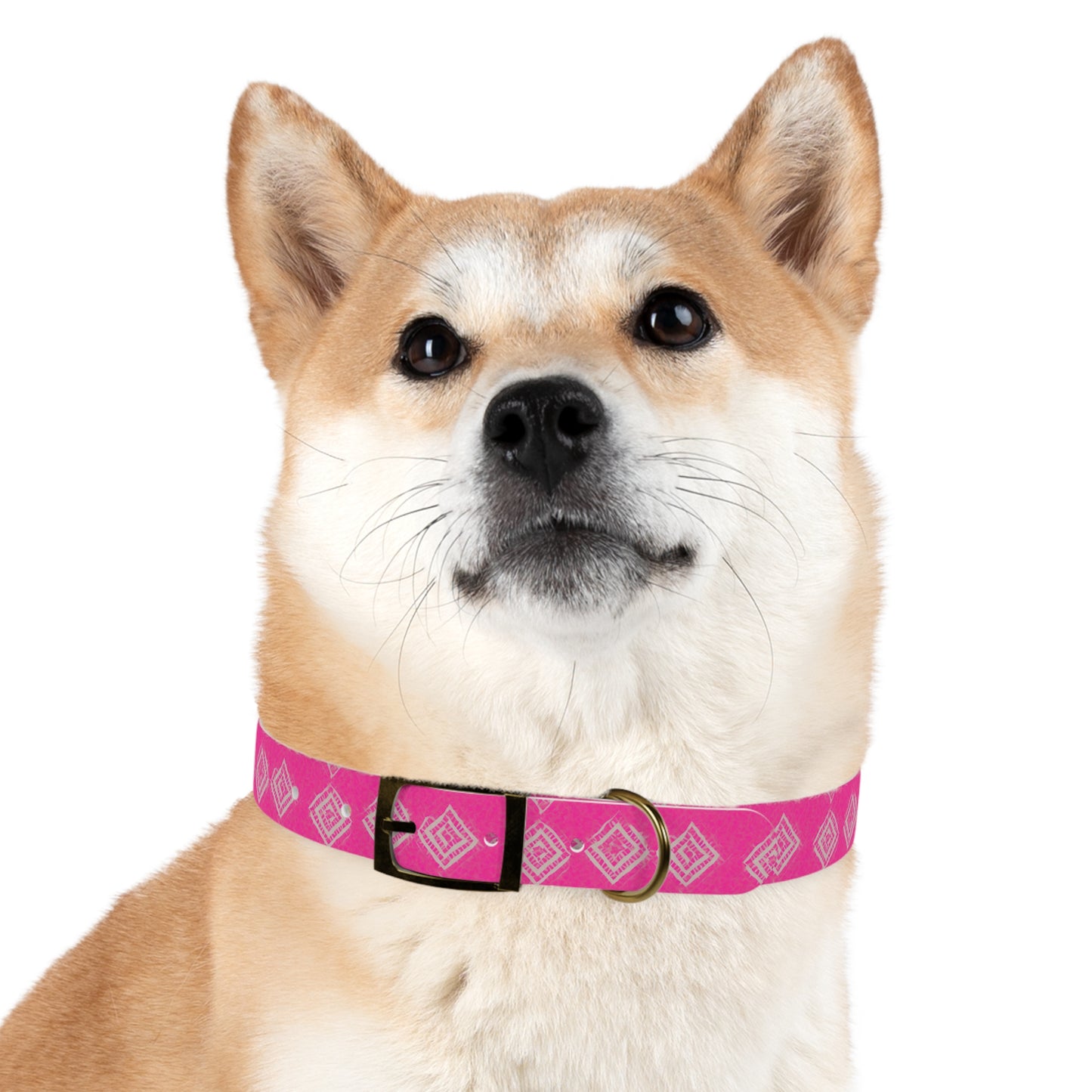 Brilliant Bliss Dog Collar