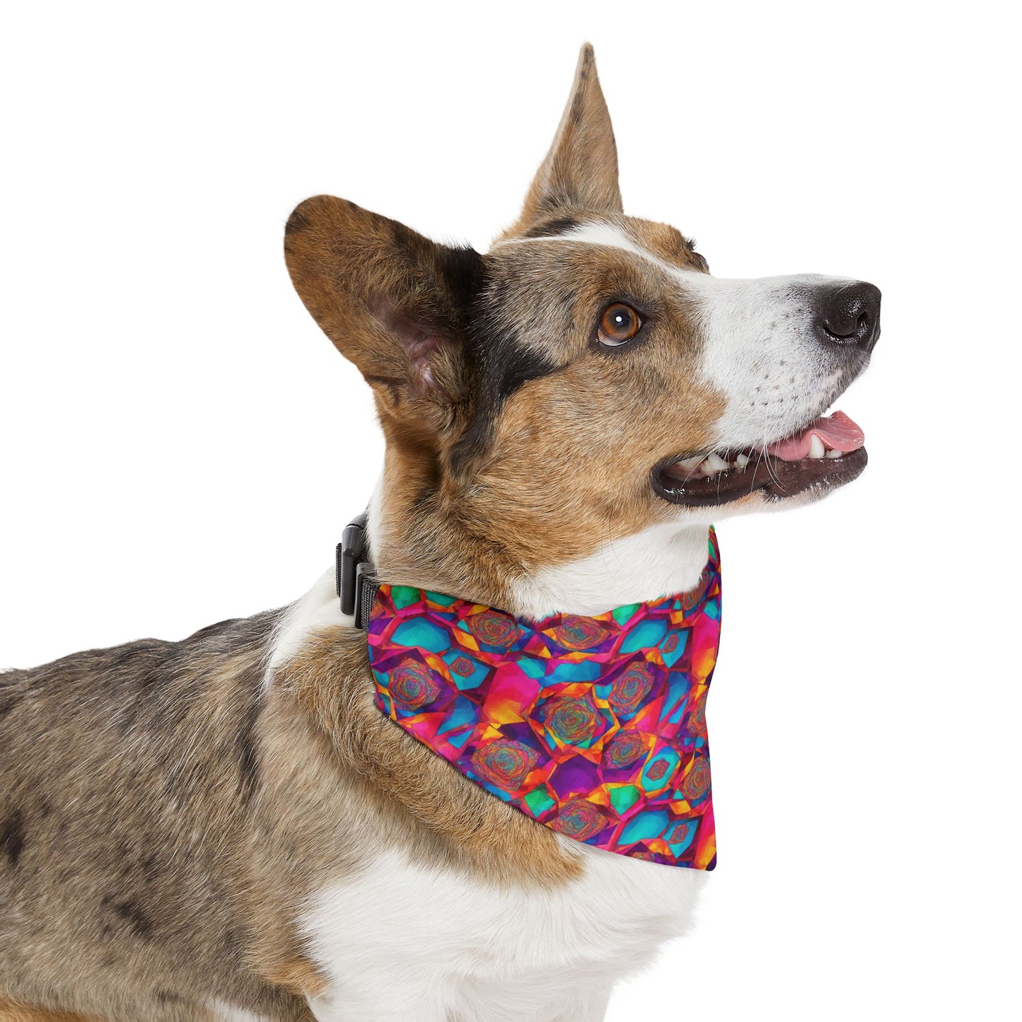 Hypnotic Harmony Pet Bandana Collar