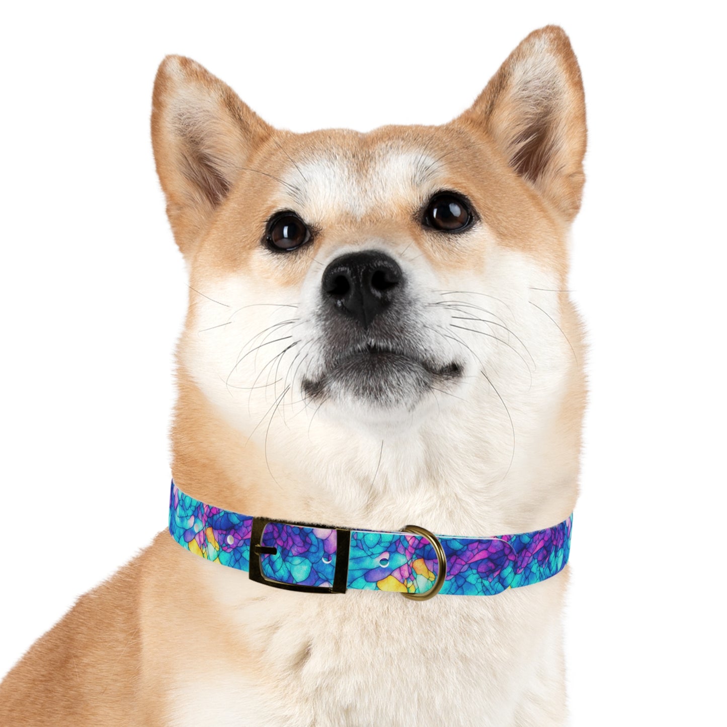 Trippy Tranquility Dog Collar