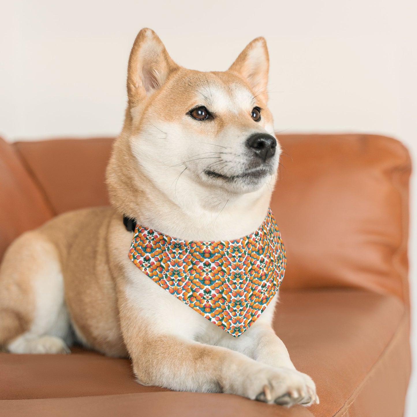 Peachy Keen Pet Bandana Collar