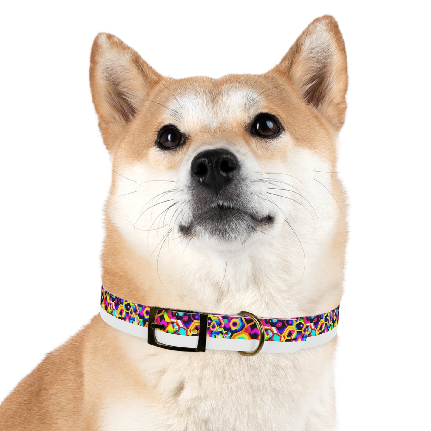 Cosmic Cascade Dog Collar