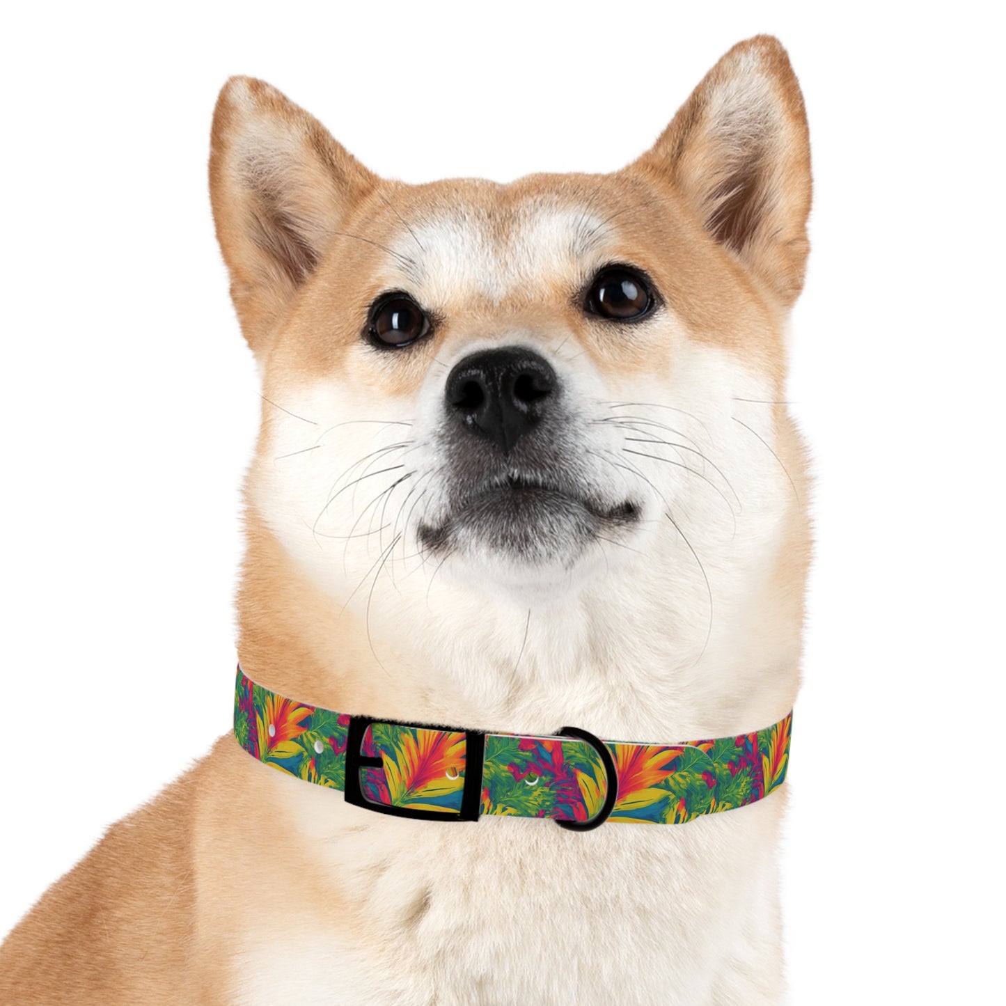 Meadow Melody Dog Collar