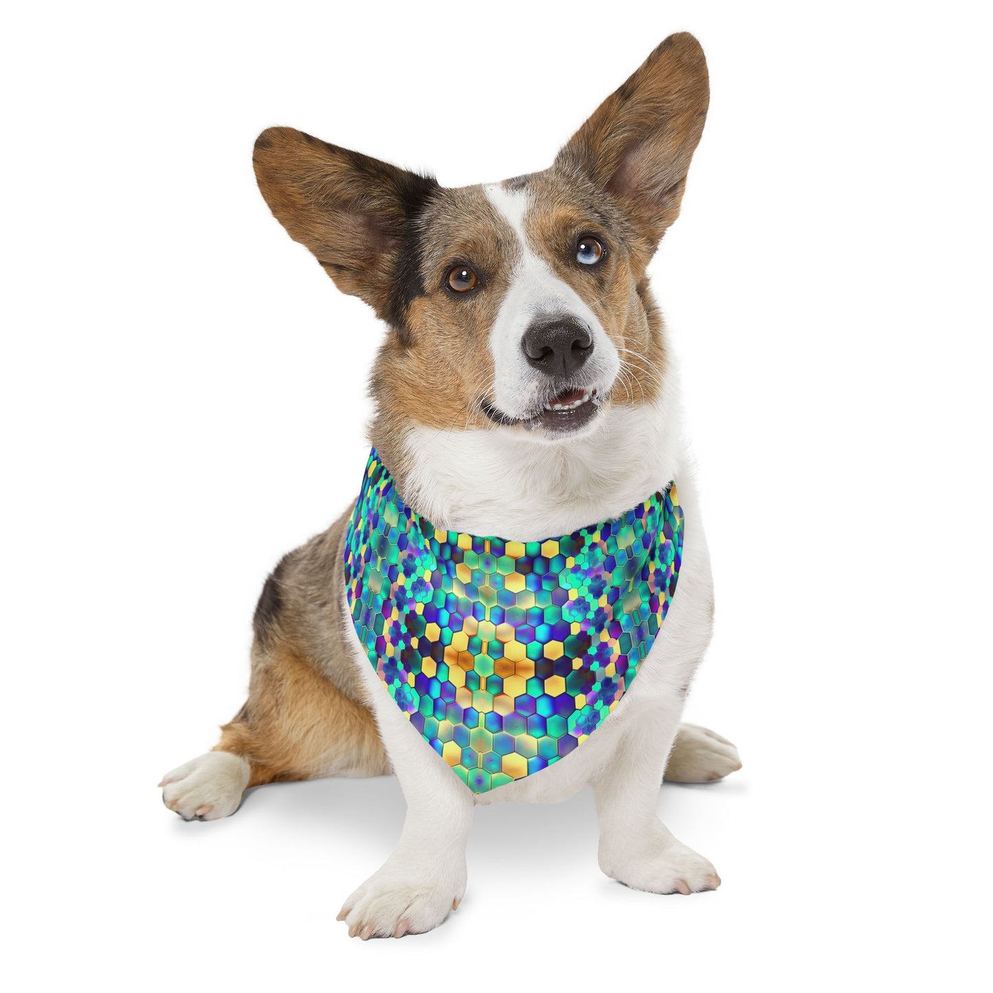 Vibrant Comb Pet Bandana Collar