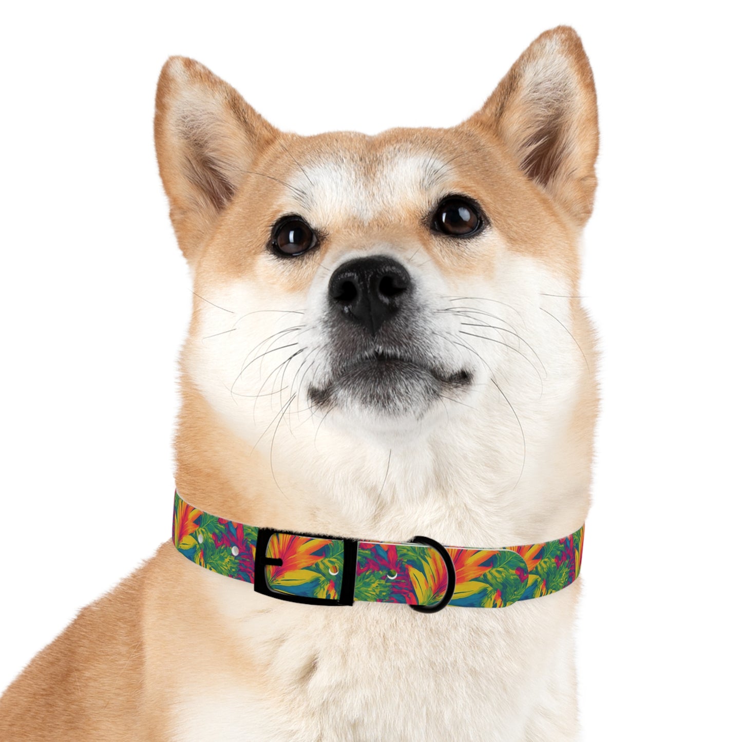 Meadow Melody Dog Collar