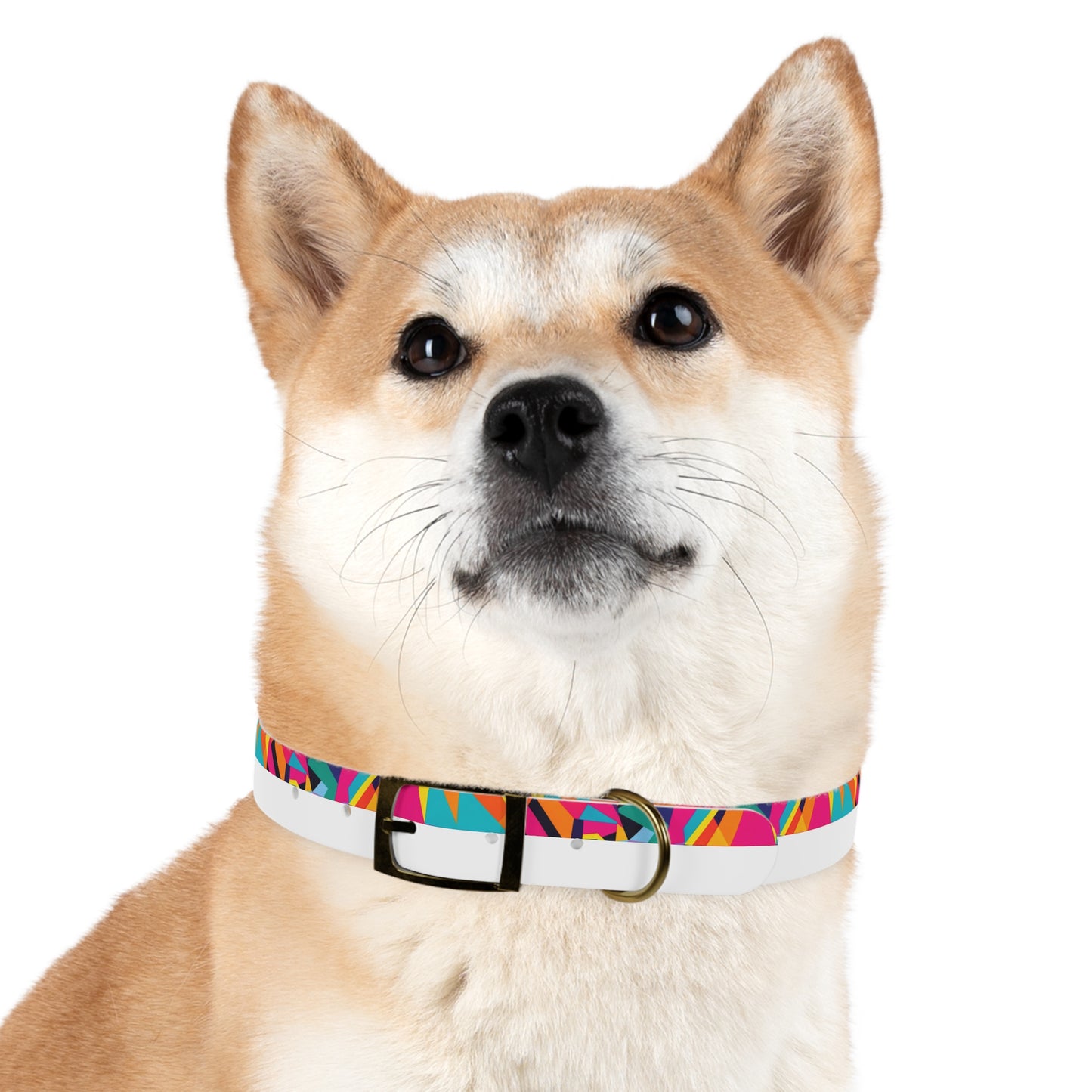 Kaleido Charm Dog Collar