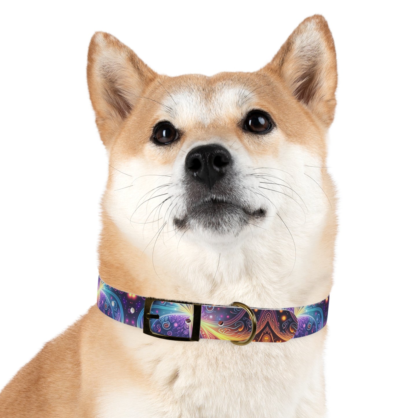 Neon Trance Dog Collar