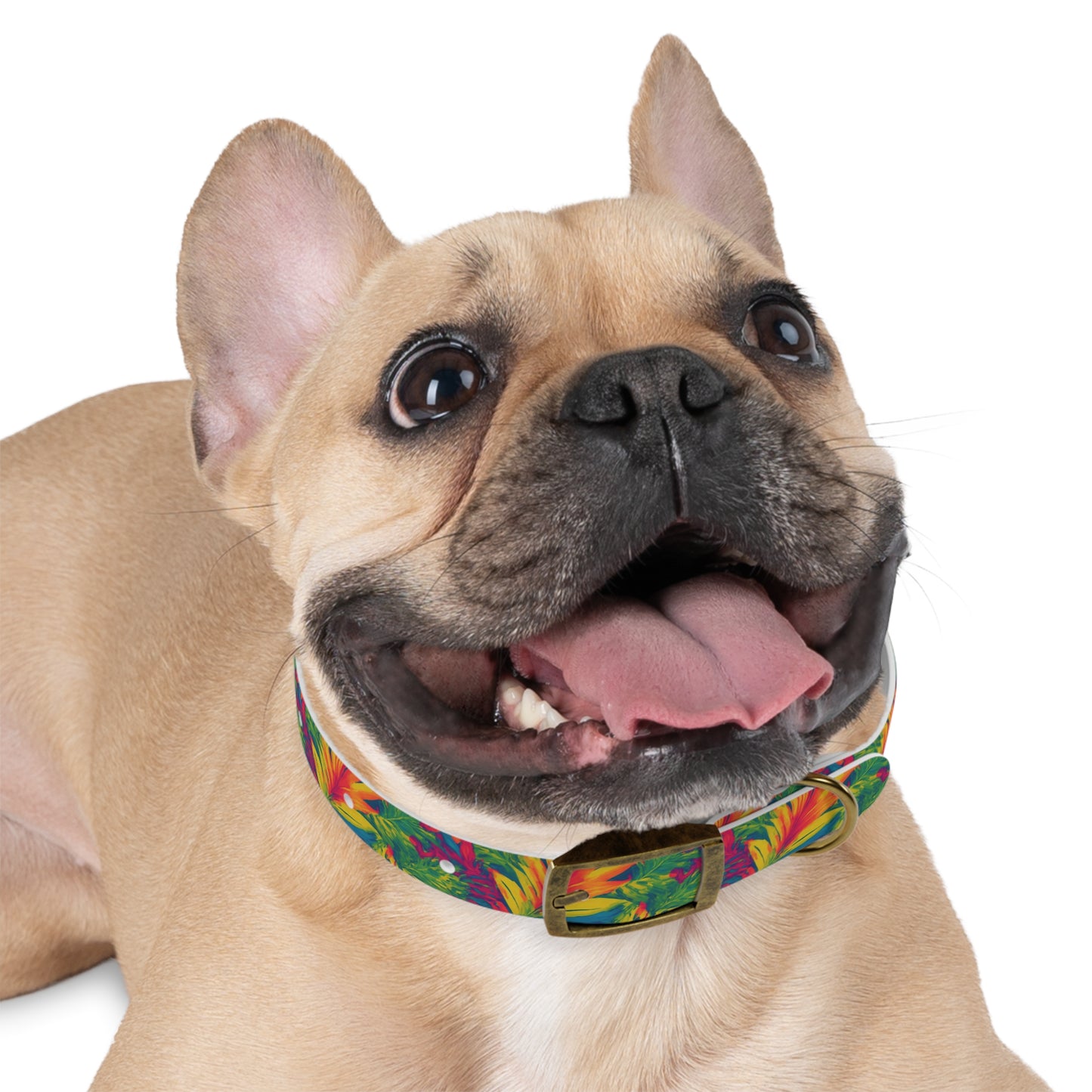 Meadow Melody Dog Collar