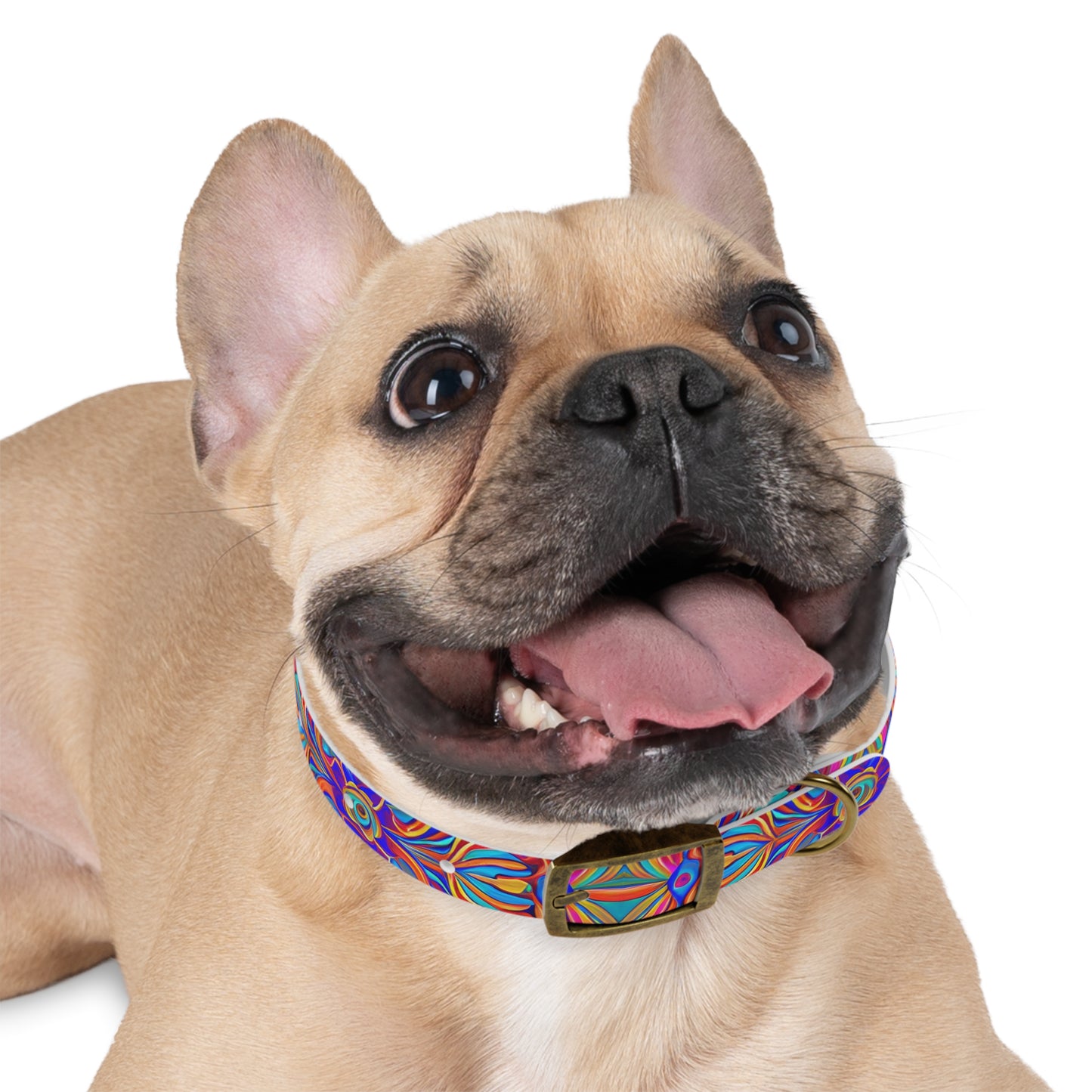 Psychedelic Spectrum Dog Collar