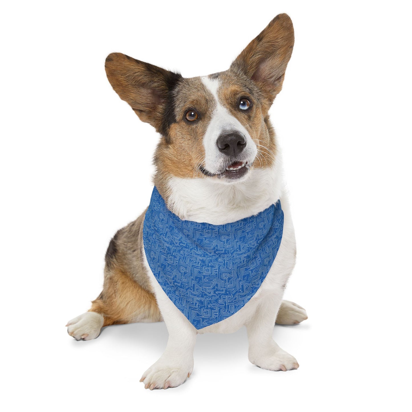 AI Array Pet Bandana Collar