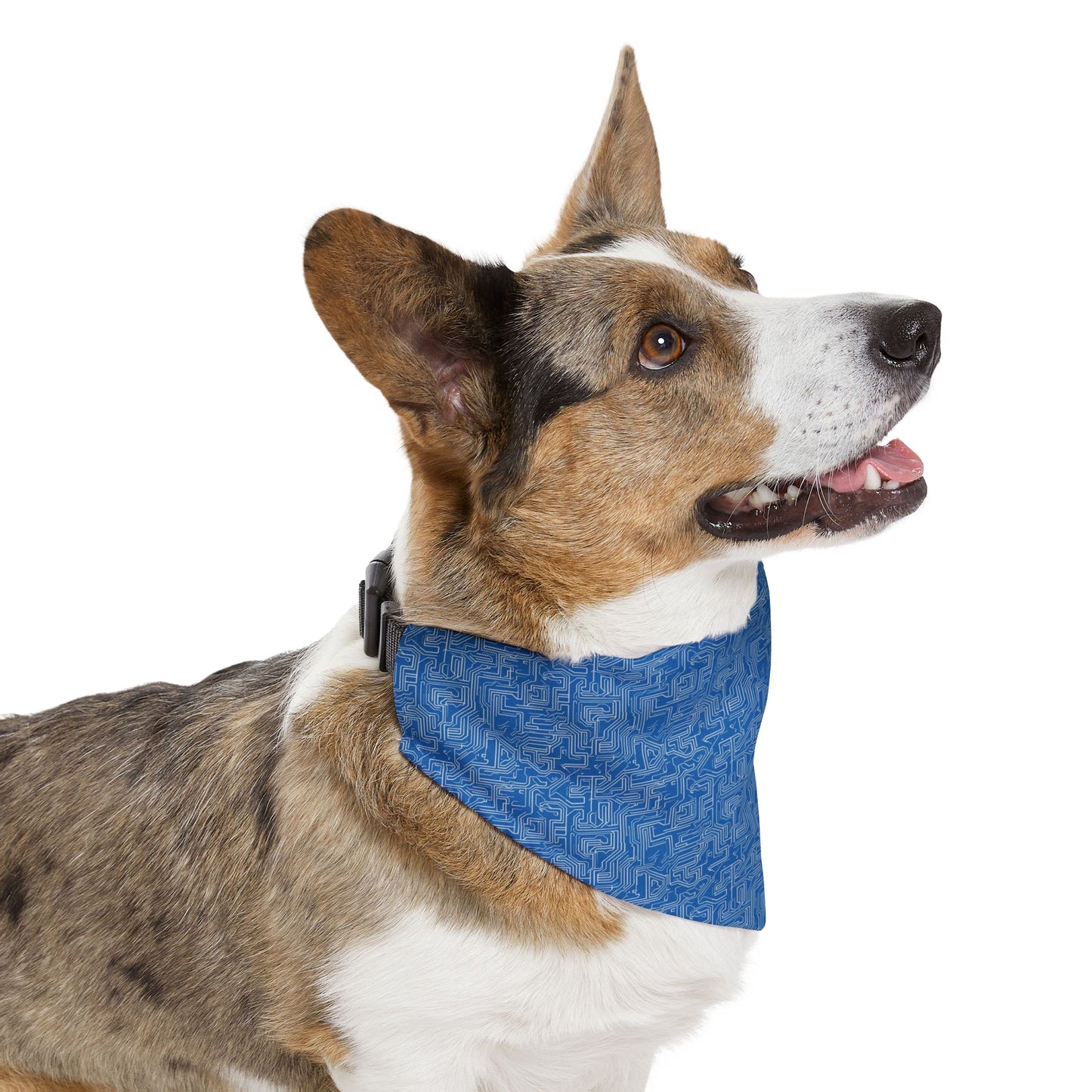 AI Array Pet Bandana Collar