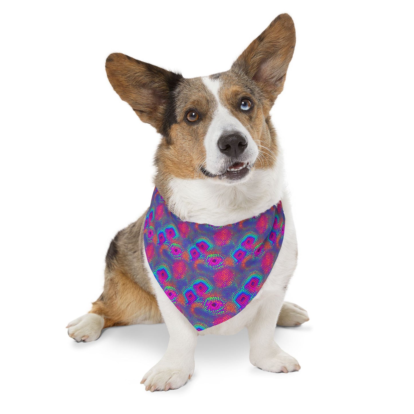 Chroma Chic Pet Bandana Collar