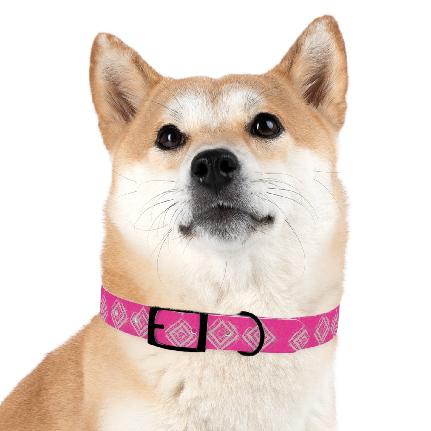 Brilliant Bliss Dog Collar