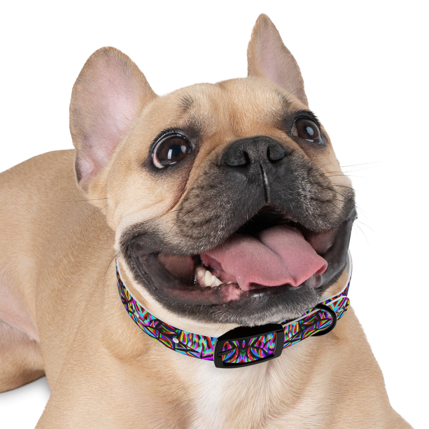 Mind Melt Patterns Dog Collar