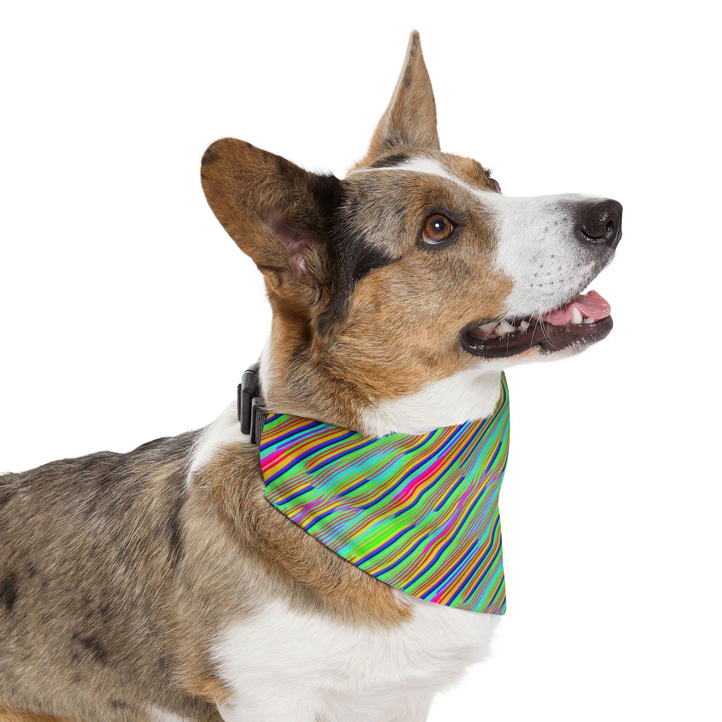 Neon Edges Pet Bandana Collar