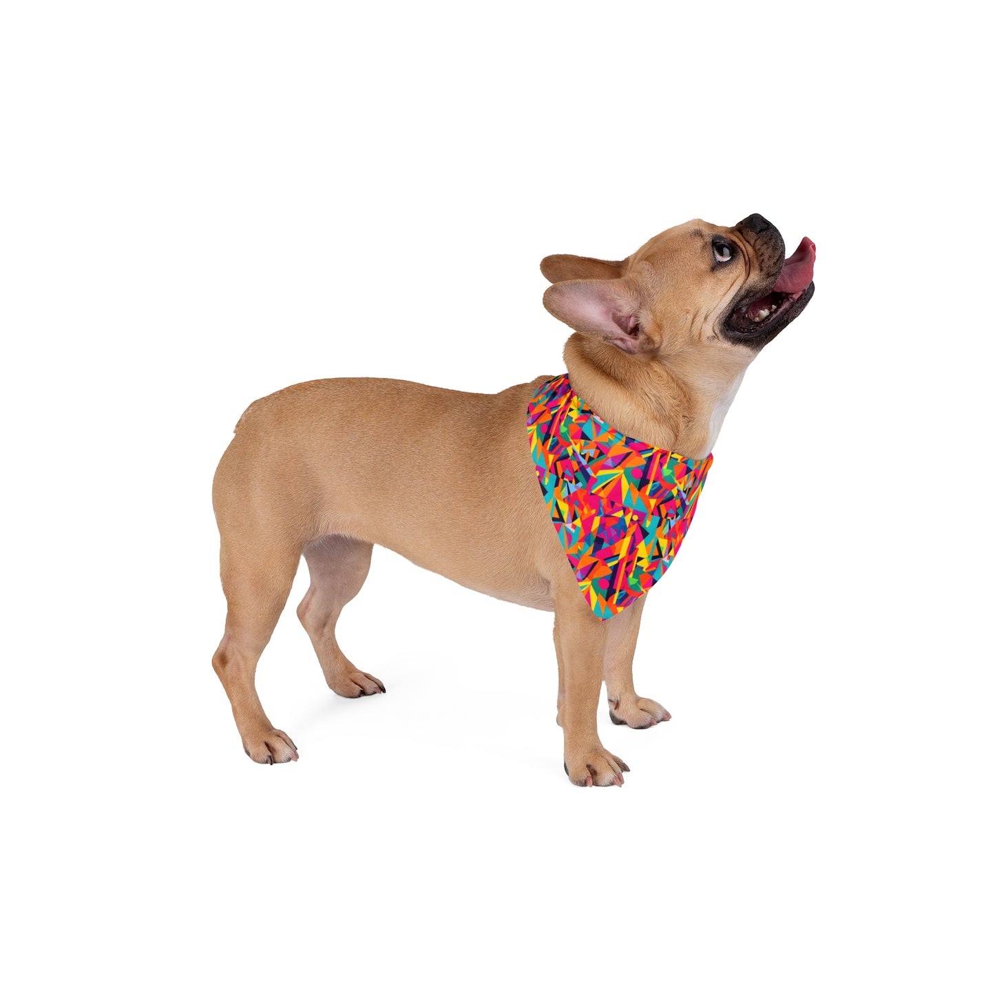 Kaleido Charm Pet Bandana