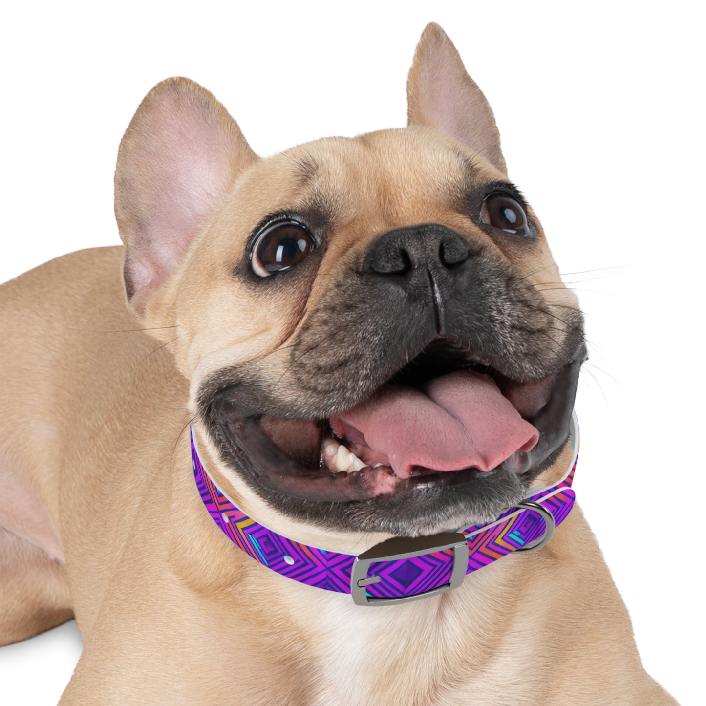 Color Gems Dog Collar