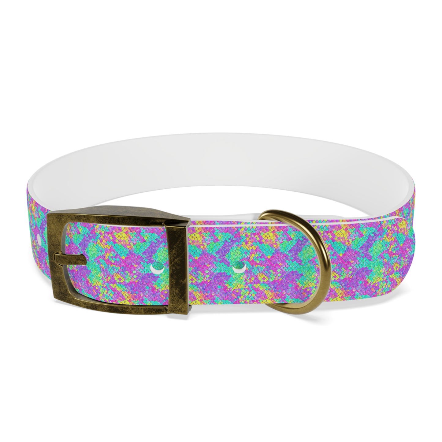 Fluid Fusion Dog Collar