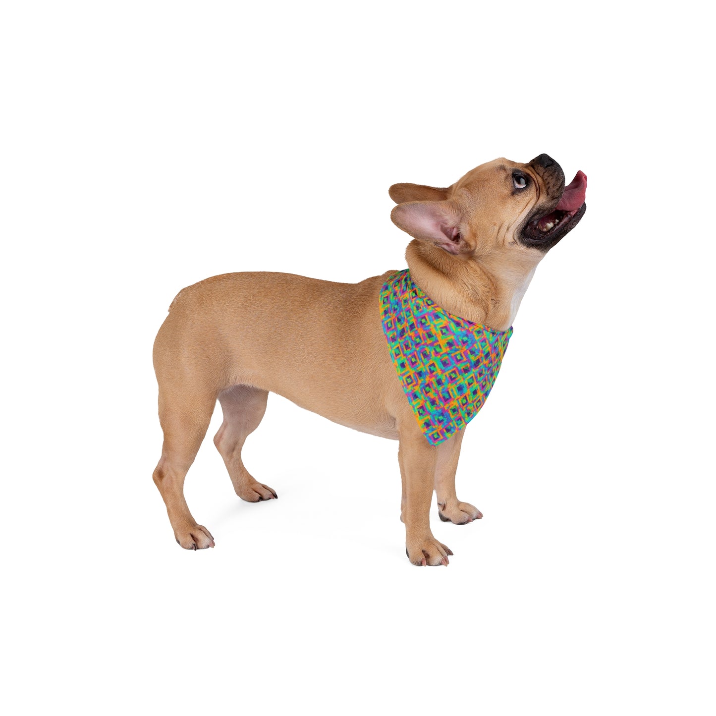 Radiant Reflections Pet Bandana