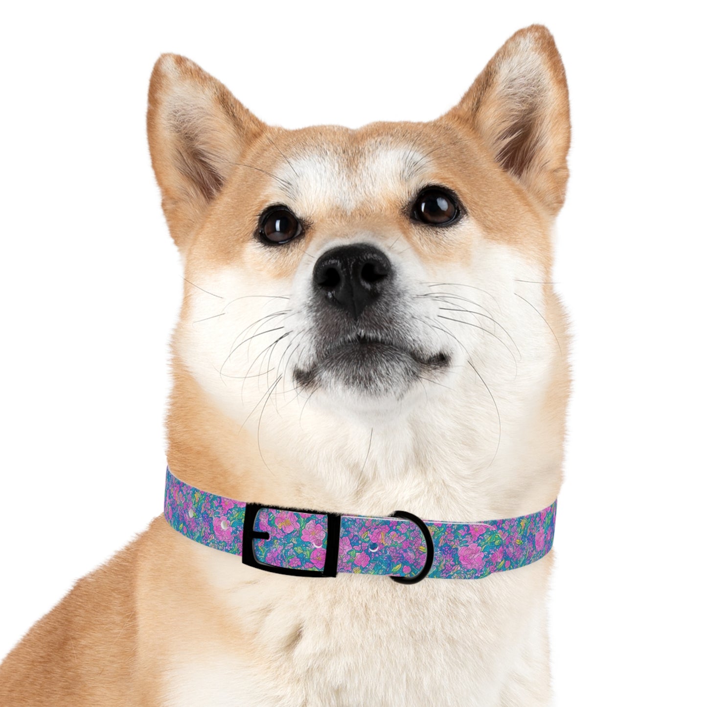 Rainbow Reflections Dog Collar