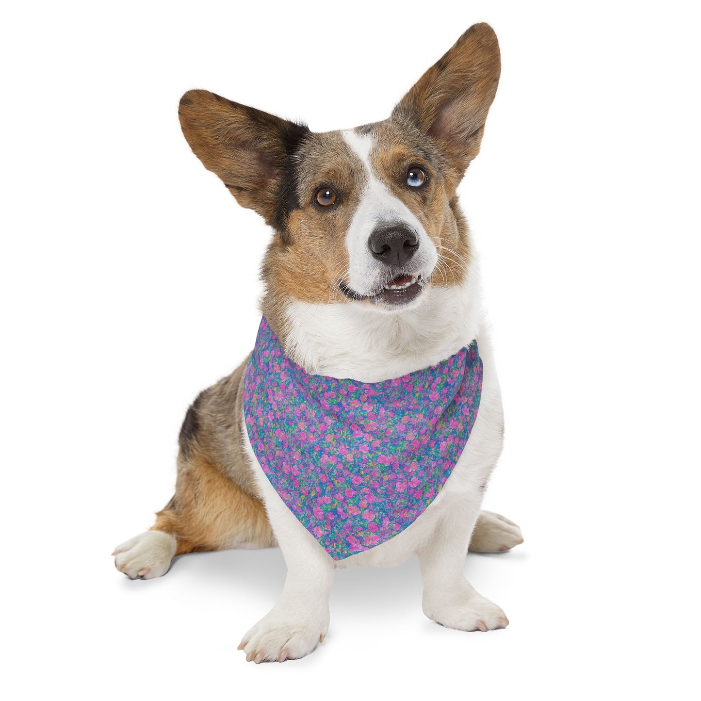 Rainbow Reflections Pet Bandana Collar