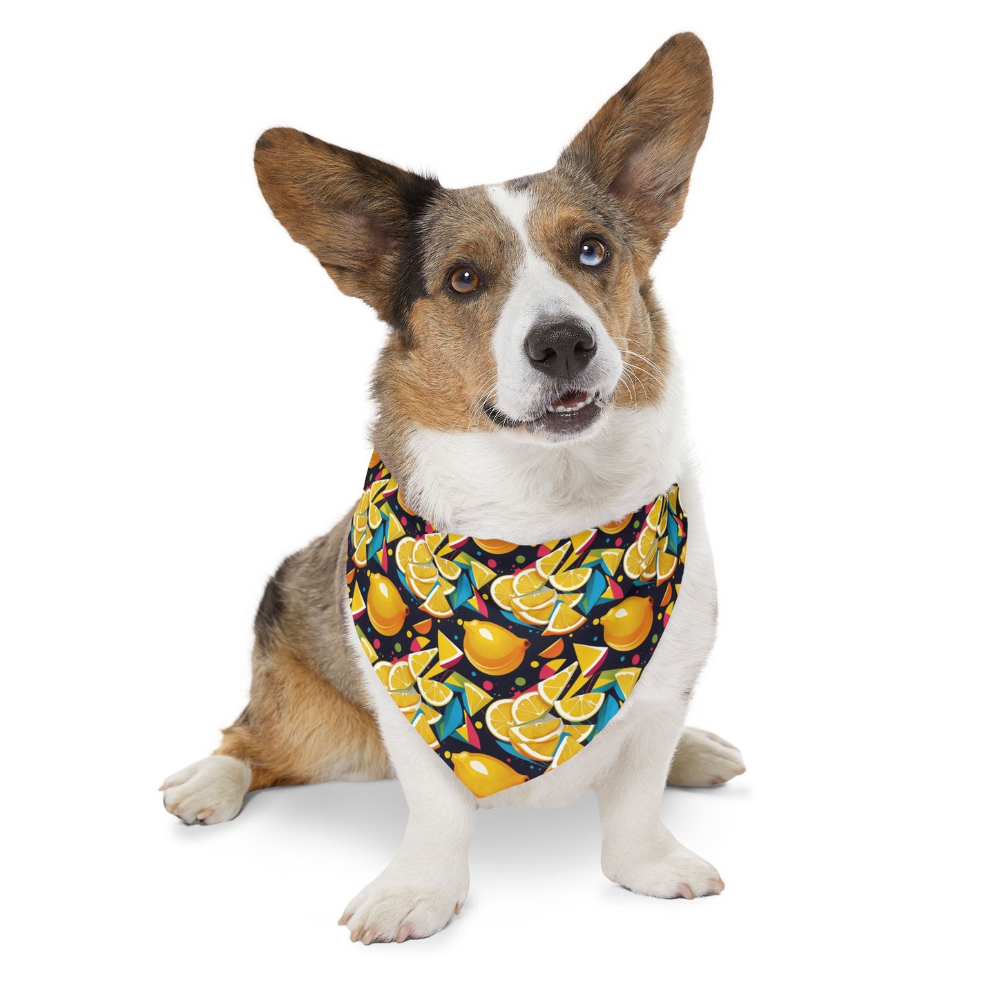 Lemon Zest Pet Bandana Collar