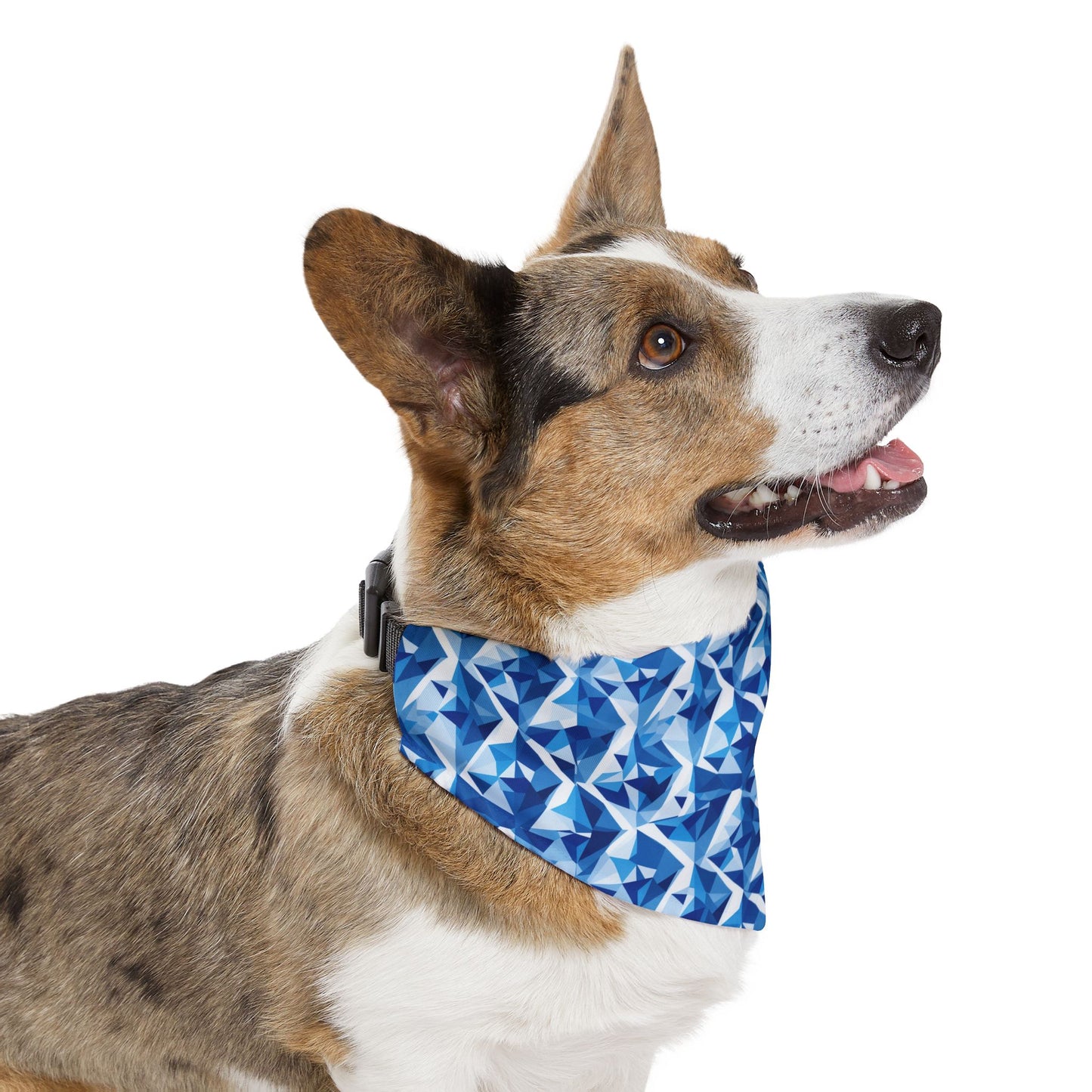 Shattered Spectrum Pet Bandana Collar