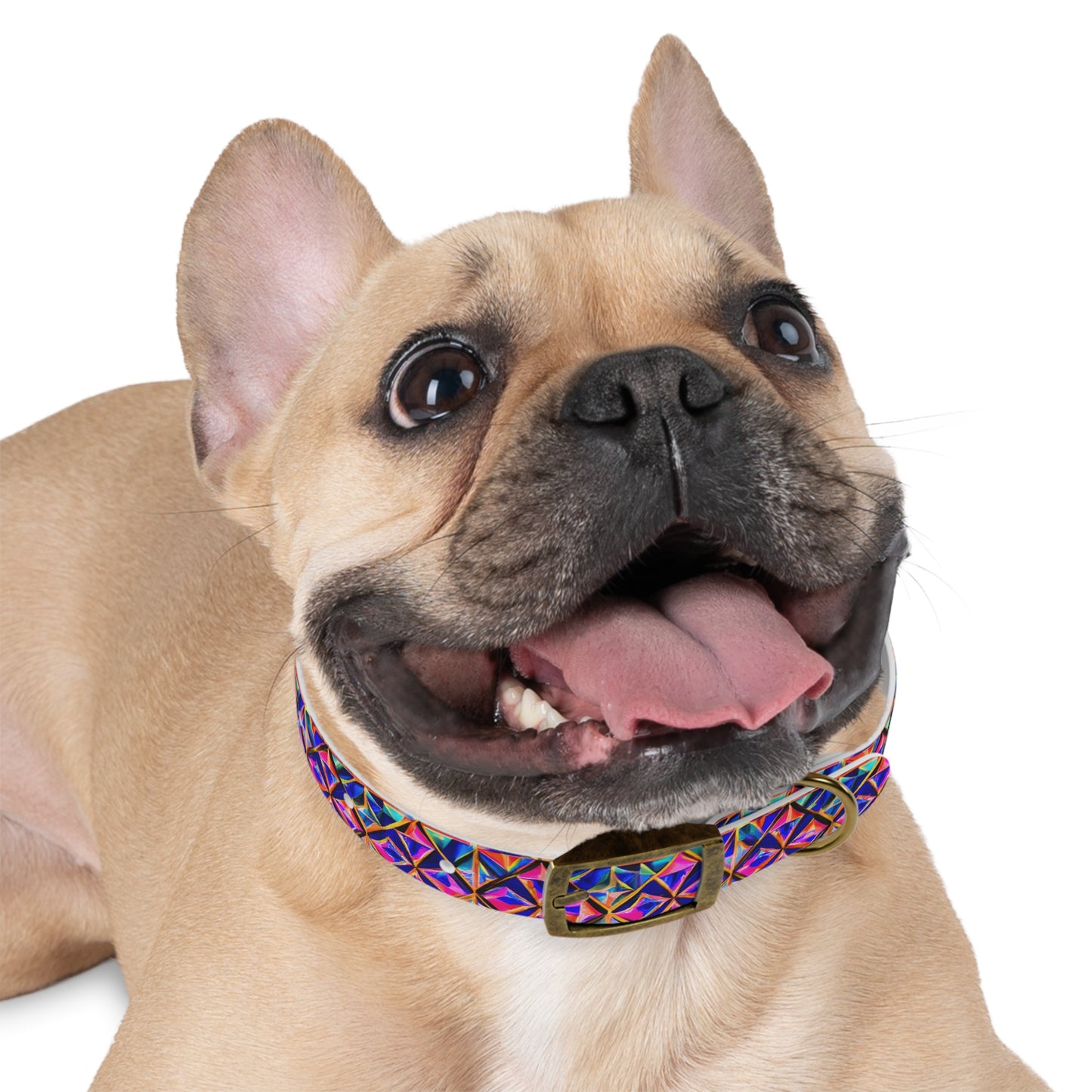 Tri-Fusion Dog Collar