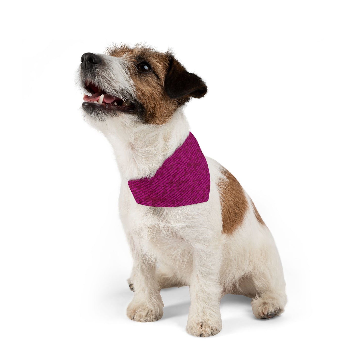 Cyber Chic Pet Bandana Collar