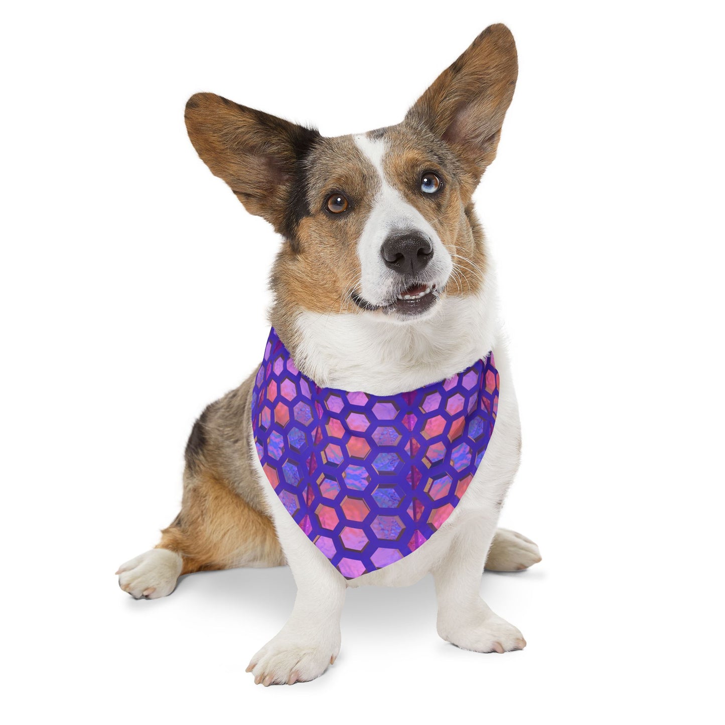 Hexa Bliss Pet Bandana Collar