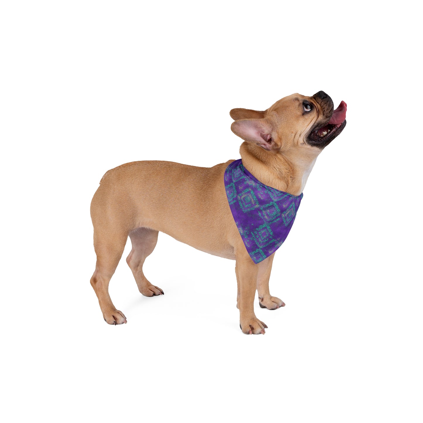 Radiance Rhapsody Pet Bandana