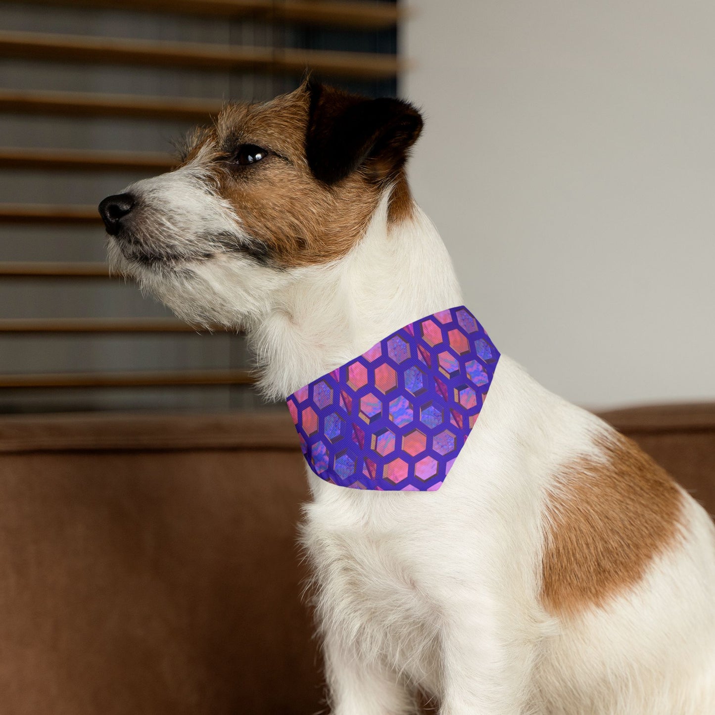 Hexa Bliss Pet Bandana Collar