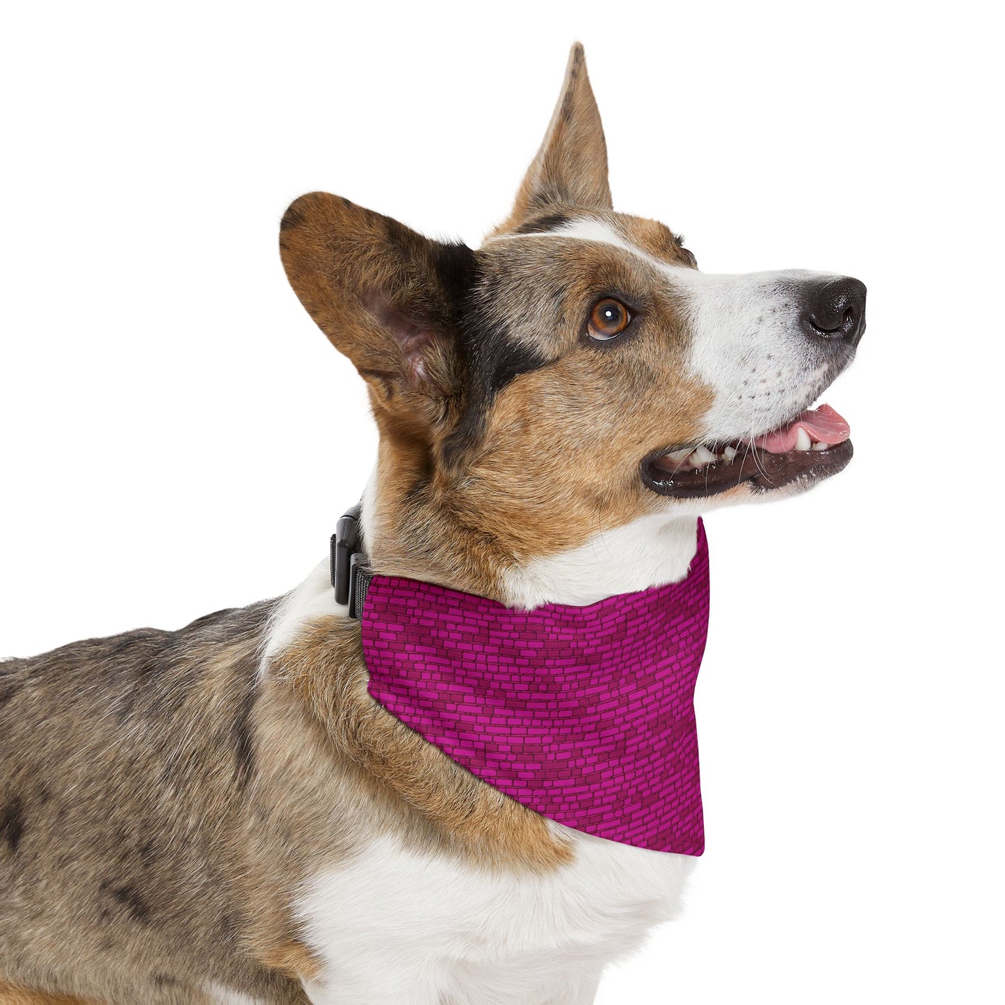 Cyber Chic Pet Bandana Collar