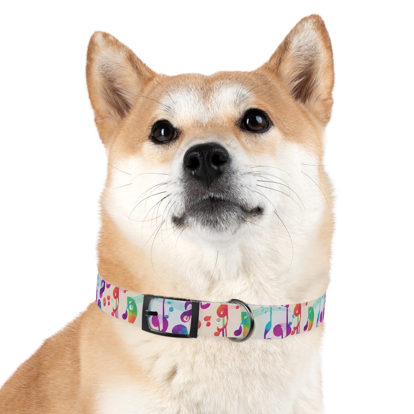 Vivid Vibrato Dog Collar