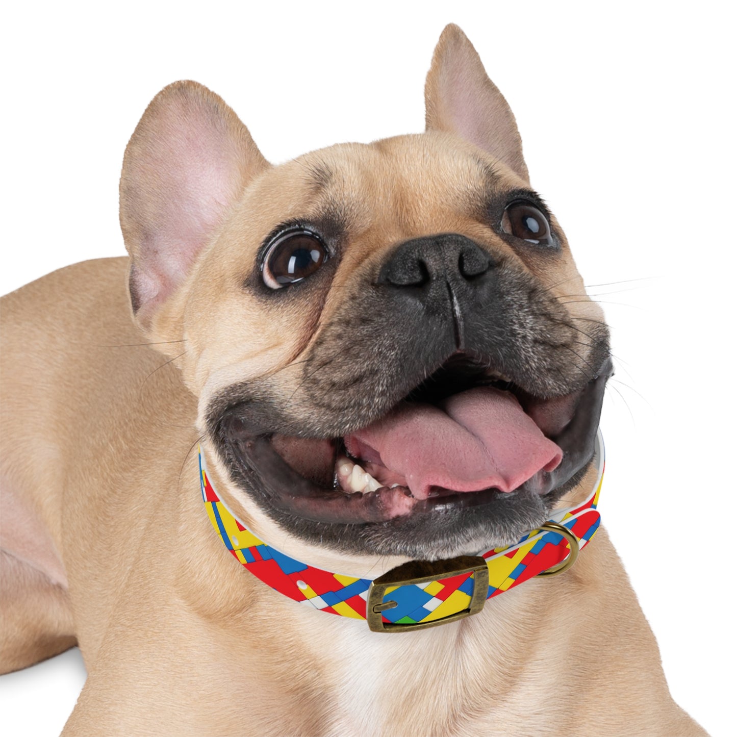 Tessellation Tango Dog Collar