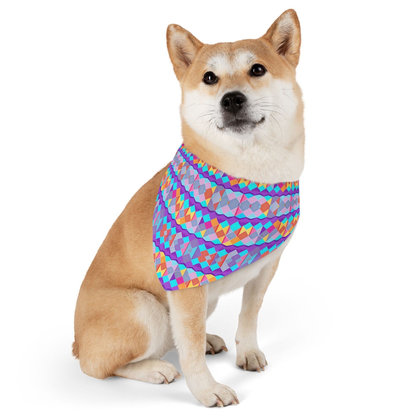 Prismatic Patterns Pet Bandana Collar