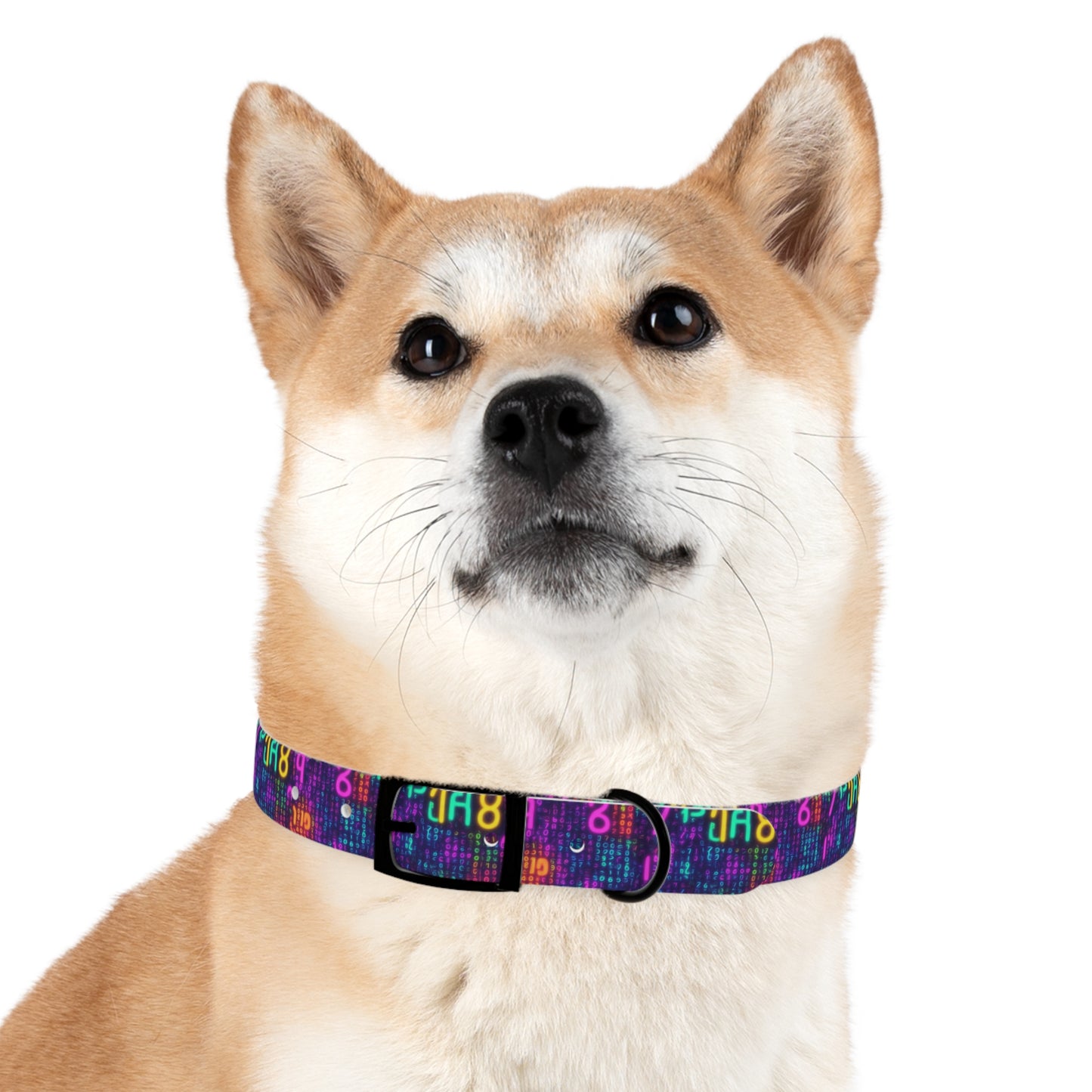 Trapped In The Matrix Dog Collar