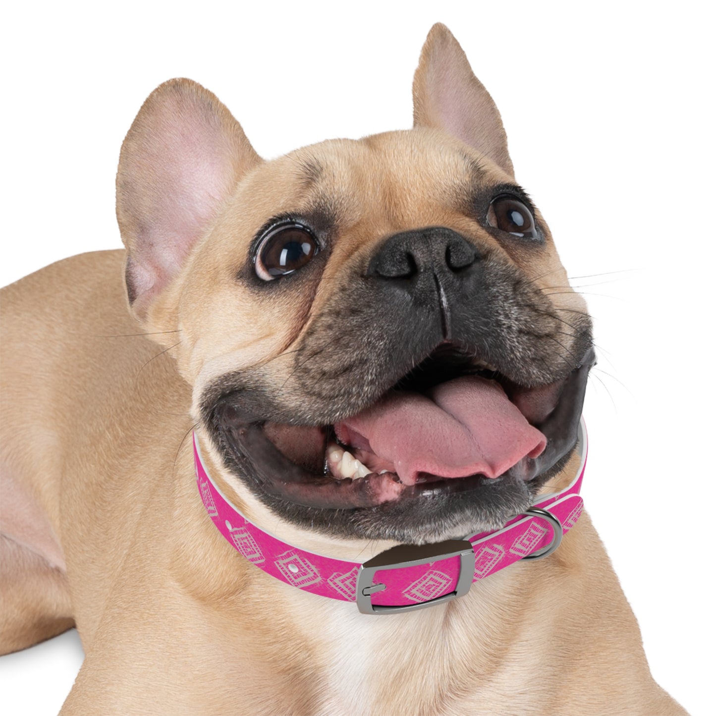 Brilliant Bliss Dog Collar