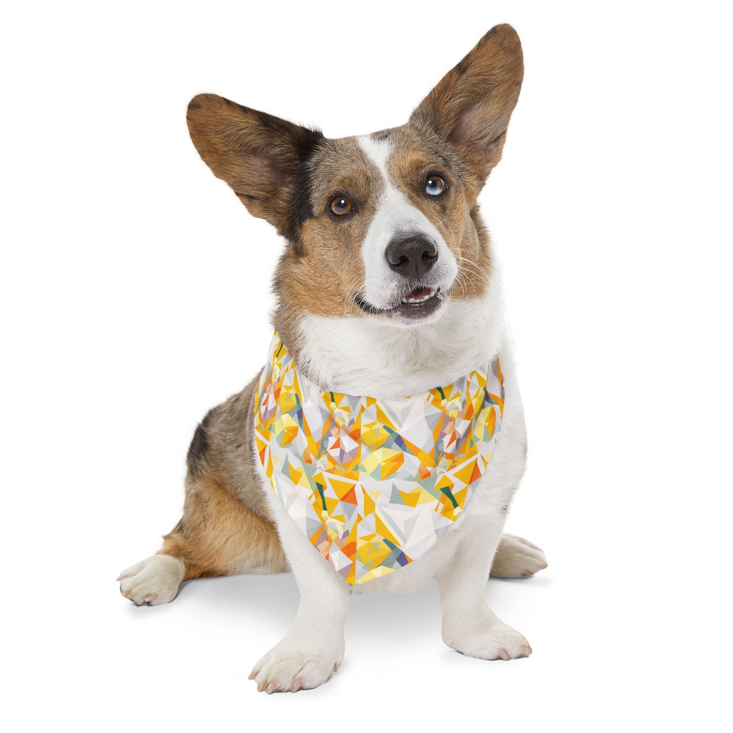 Polygon Prism Pet Bandana Collar