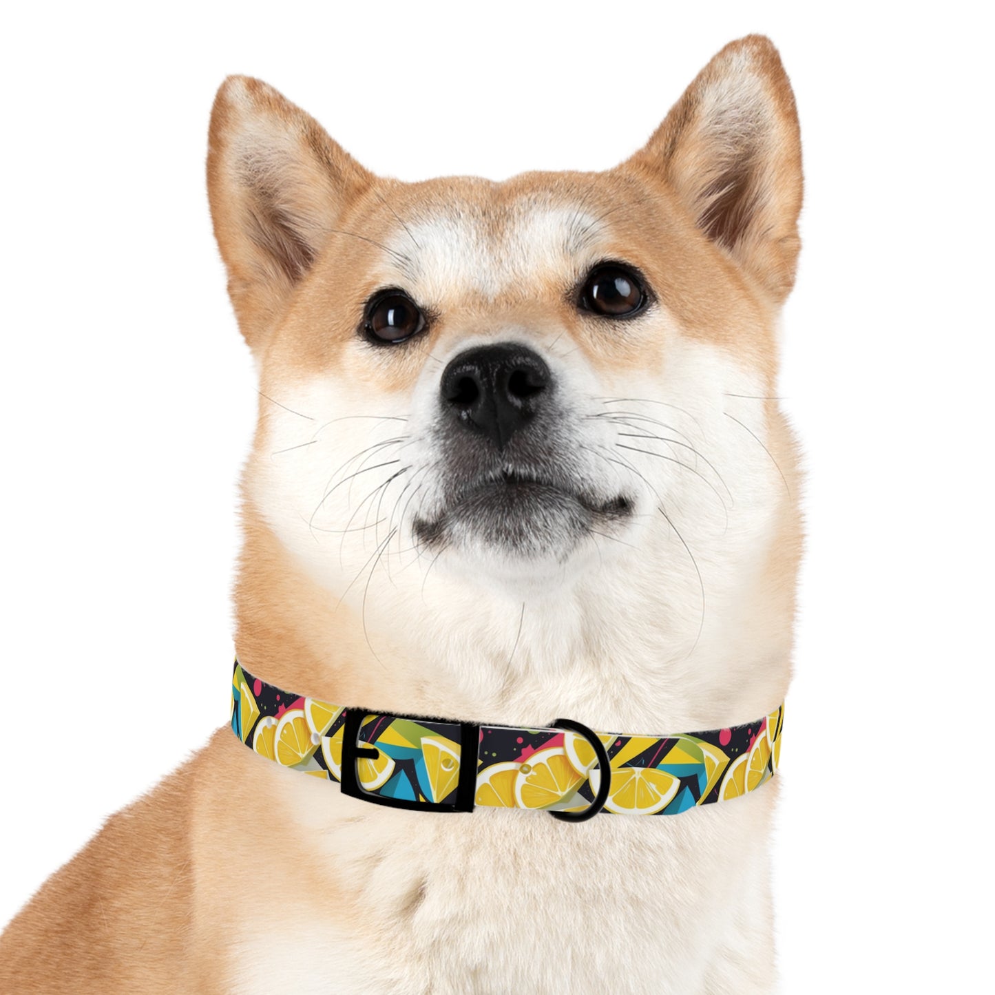 Lemon Zest Dog Collar