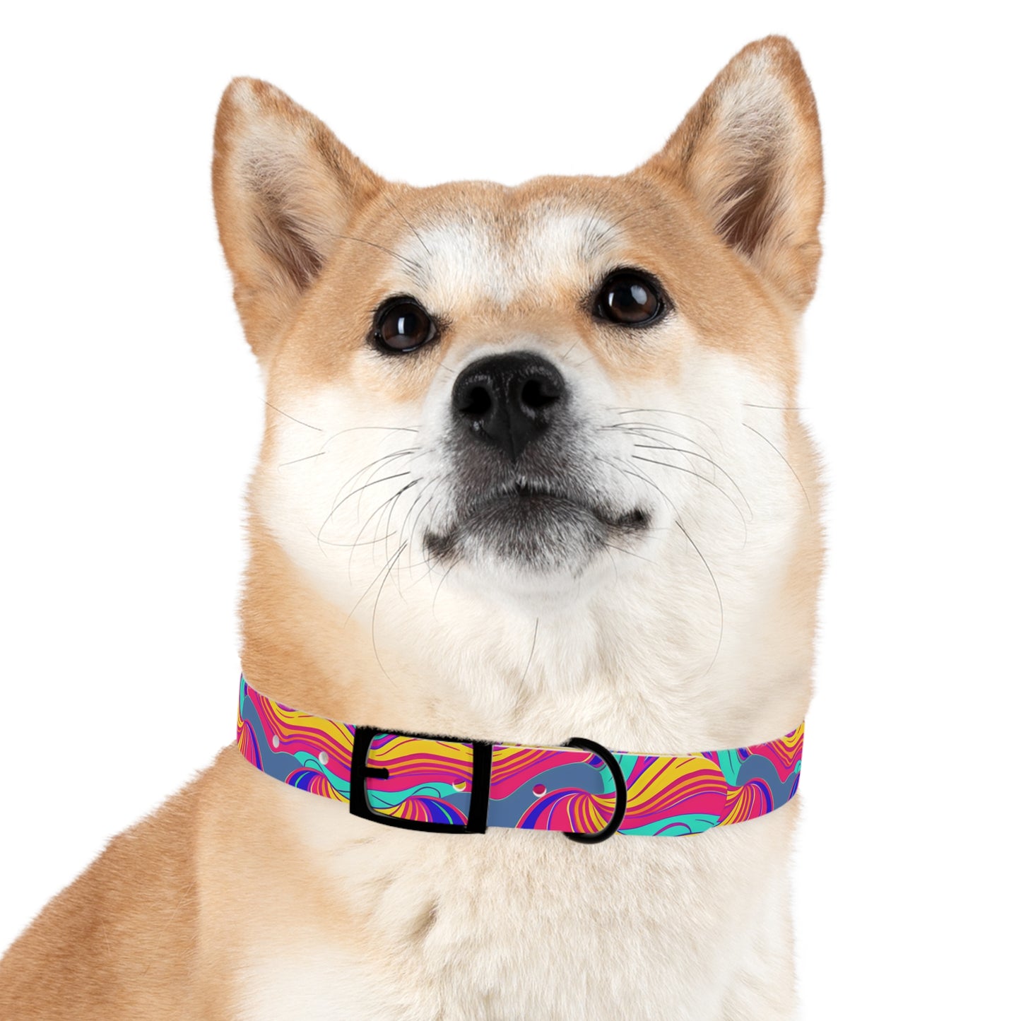 Psychedelic Grove Dog Collar