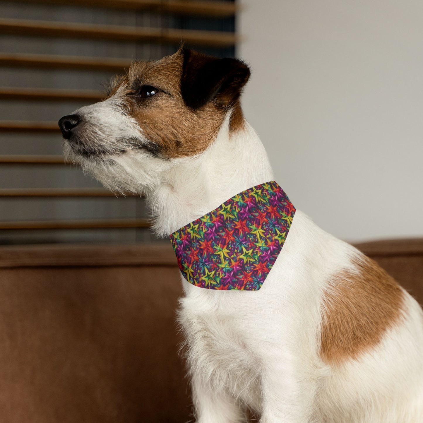 Astral Gleam Pet Bandana Collar