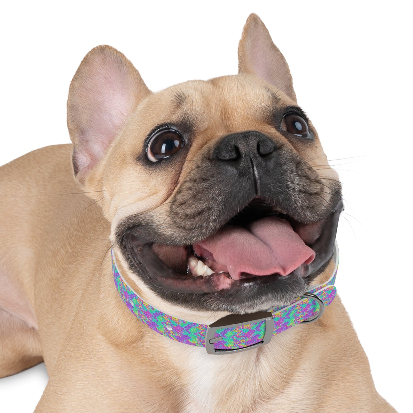 Fluid Fusion Dog Collar