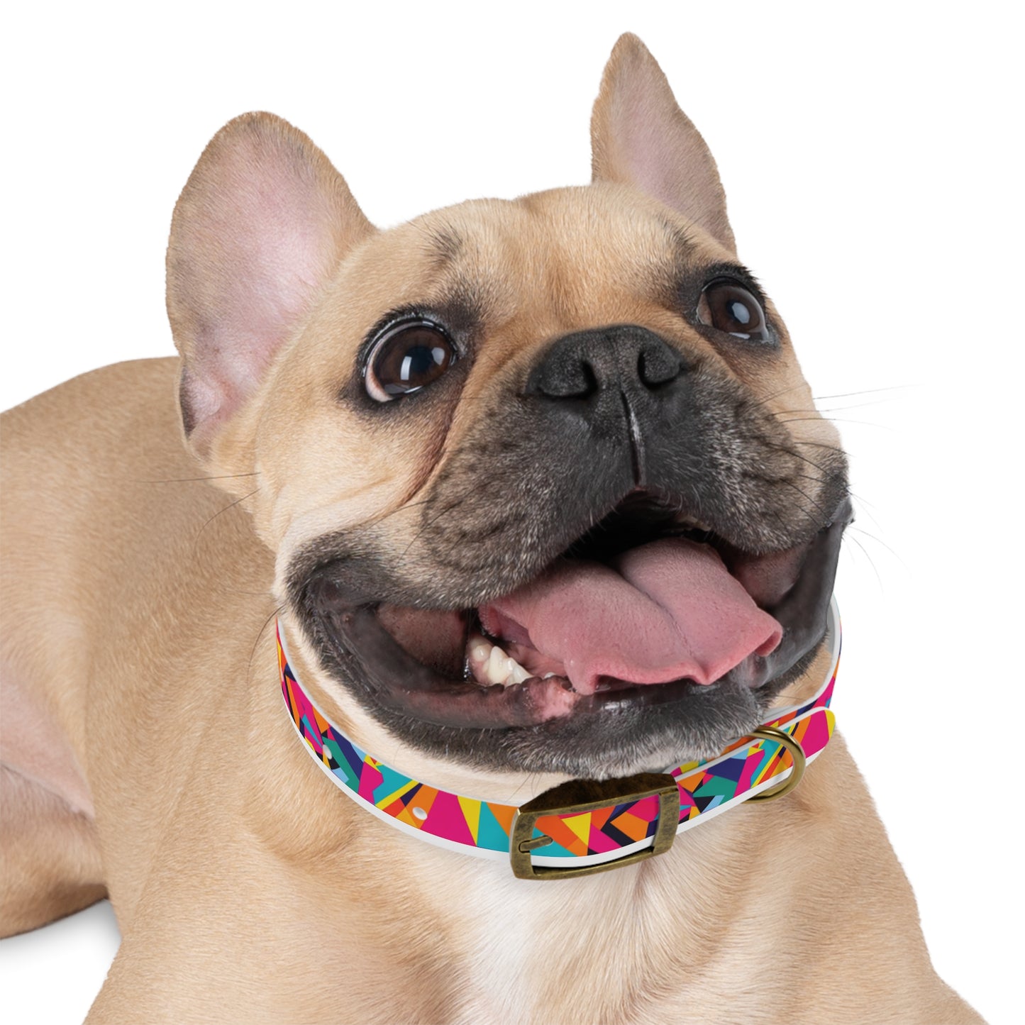 Kaleido Charm Dog Collar