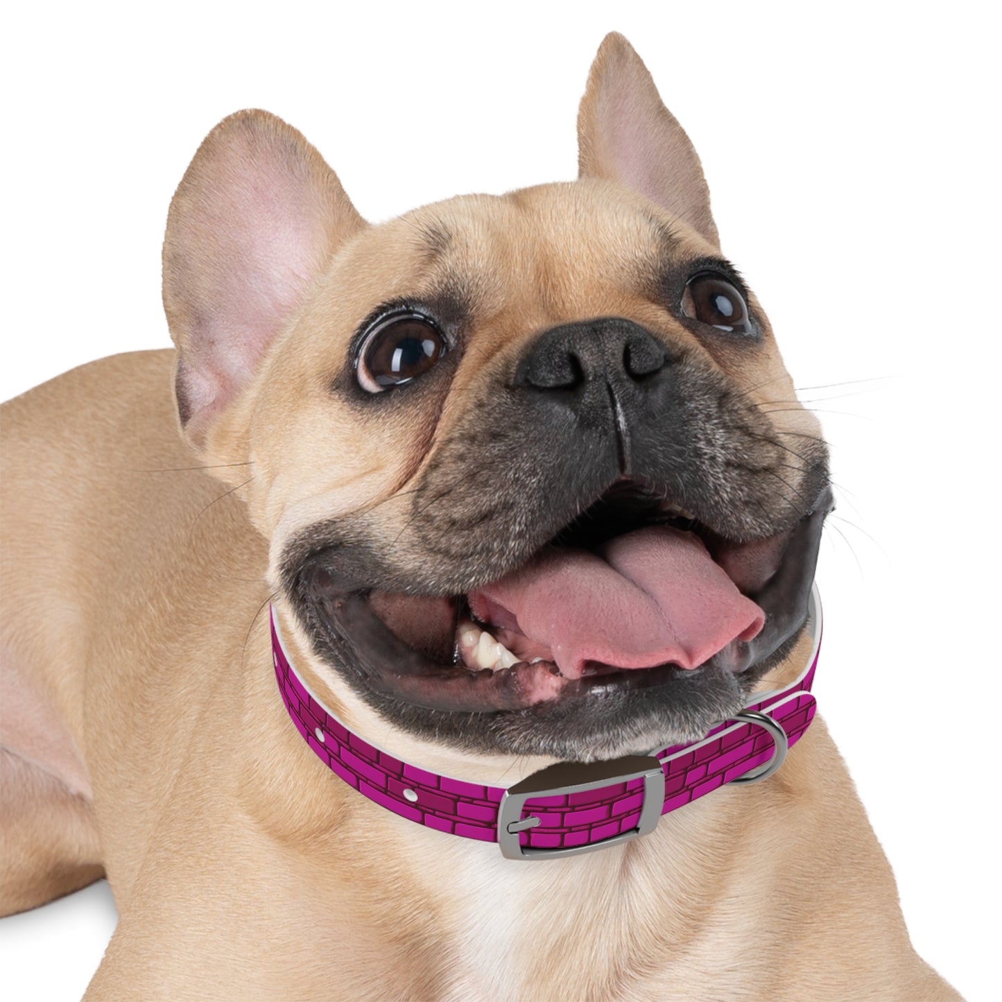 Cyber Chic Dog Collar