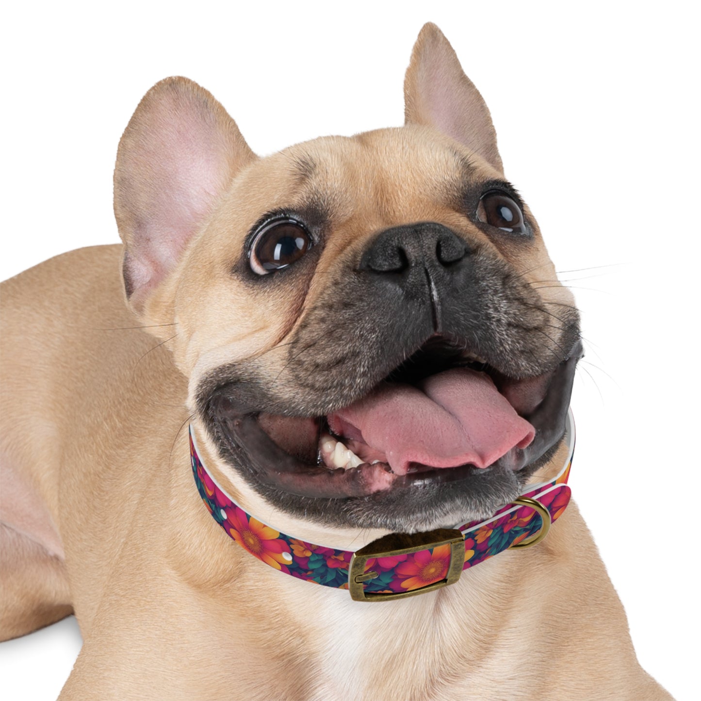 Daisy Delight Dog Collar